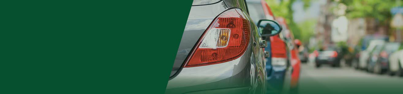 Green background with the back of a silver parked car visible